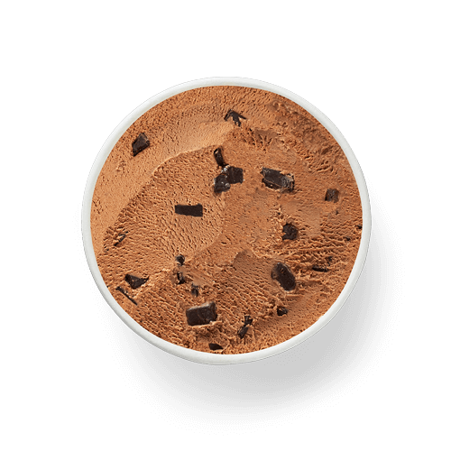 Chocolate Chocolate Chunk Ice Cream