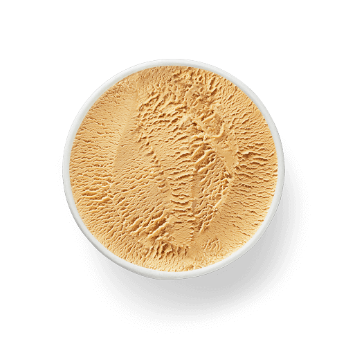 Coffee Ice Cream