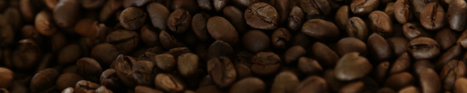 Understanding Coffee