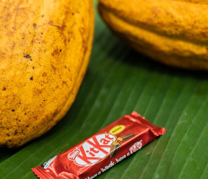 2016: KITKAT leading the way.​