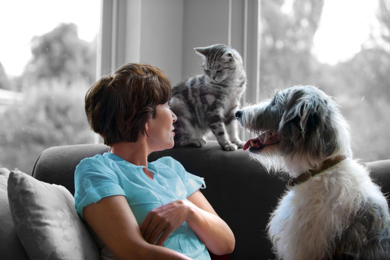 Nestle Purina support