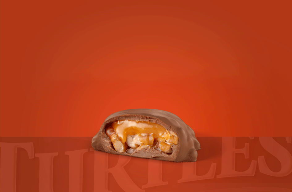 turtles mini