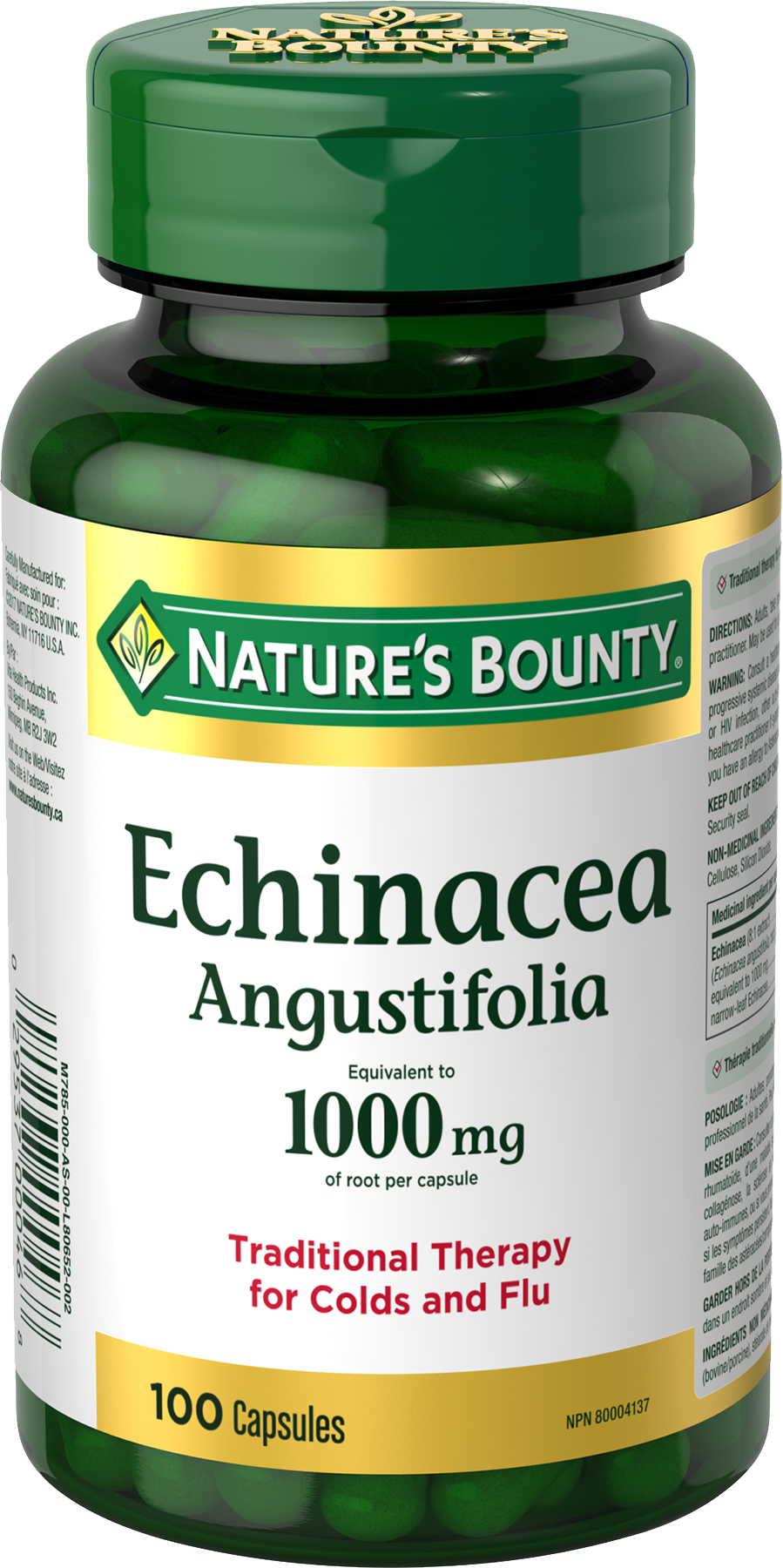 Echinacea