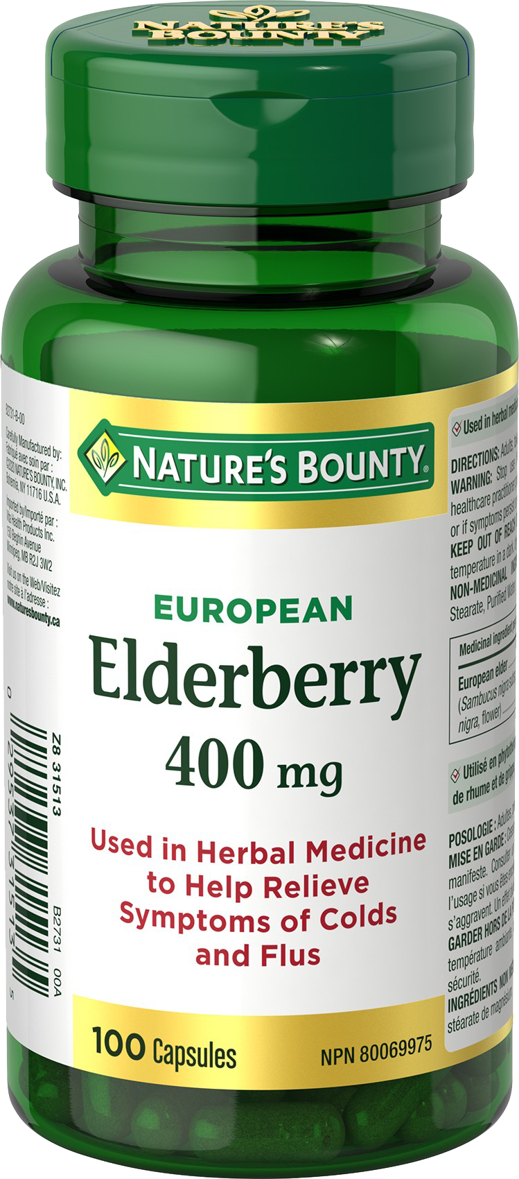 European Elderberry