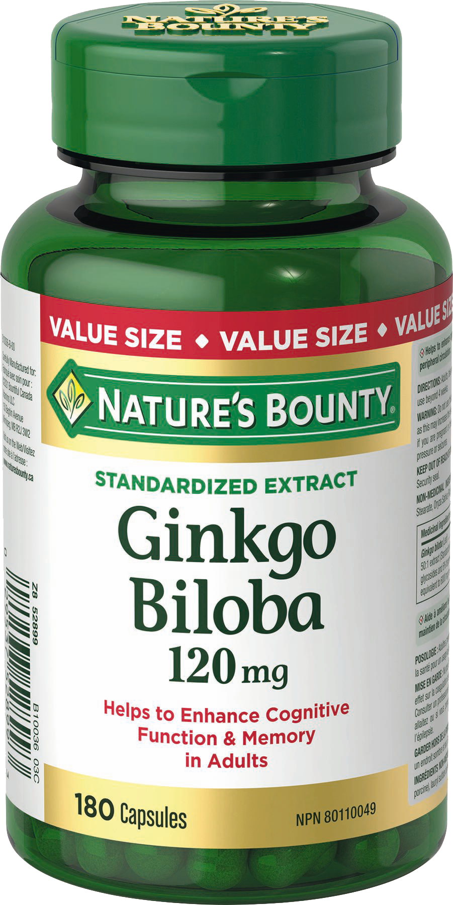 Ginkgo Biloba