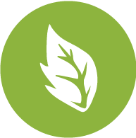 noartificial_icon_02_0.png