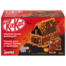 Haunted House Halloween Kit