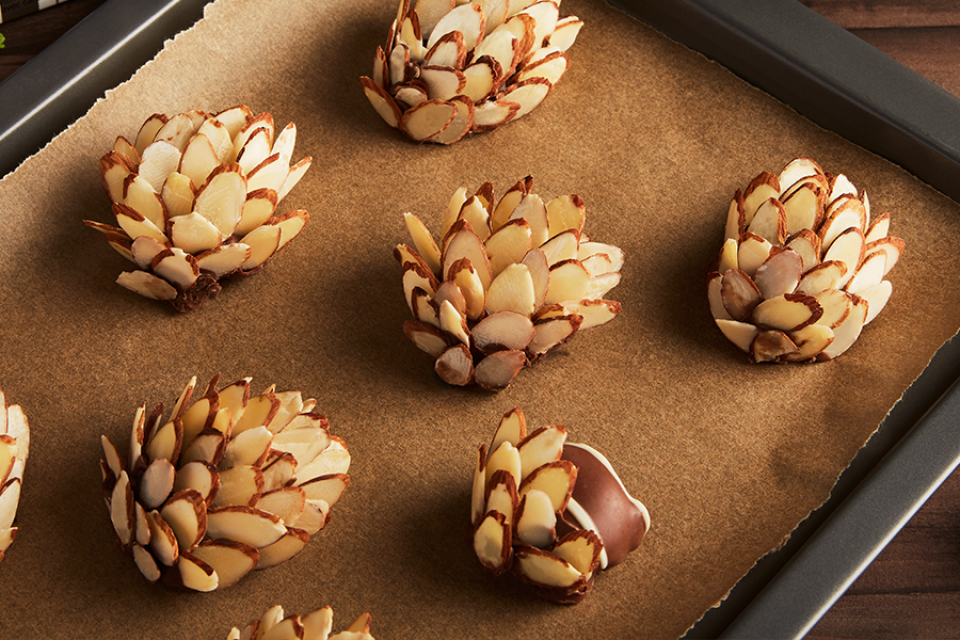 TURTLES Pine Cones Recipe. Perfect for the holidays.