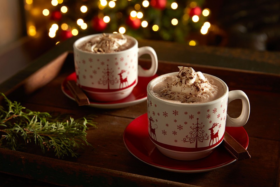 A Complete Guide to Buying Hot Chocolate Dispensers