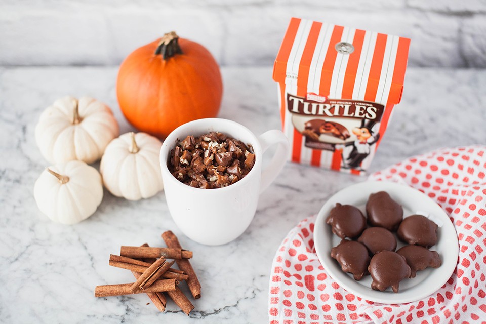 TURTLES Pumpkin Mug Cake Recipe. A TURTLES & pumpkin cake is here to make your dream come true.